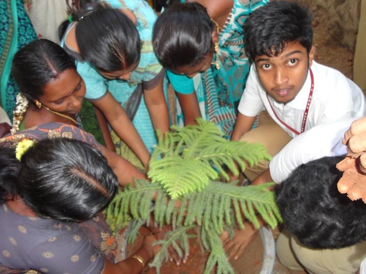 Van Mahotsav